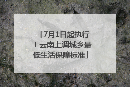 7月1日起执行！云南上调城乡最低生活保障标准