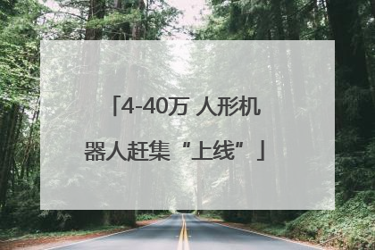 4-40万 人形机器人赶集“上线”