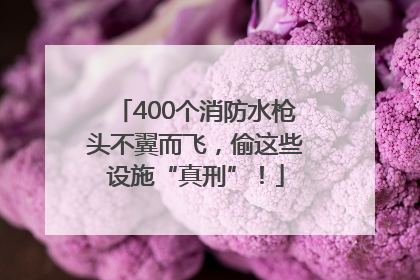 400个消防水枪头不翼而飞，偷这些设施“真刑”！