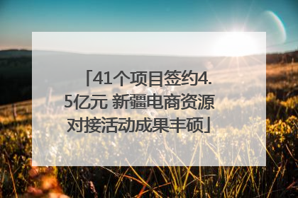 41个项目签约4.5亿元 新疆电商资源对接活动成果丰硕