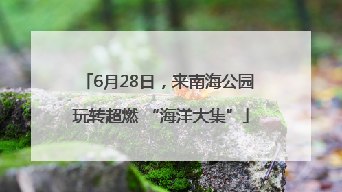 6月28日，来南海公园玩转超燃 “海洋大集”