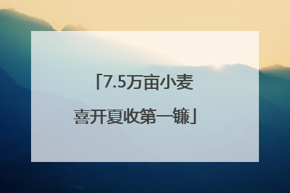 7.5万亩小麦喜开夏收第一镰