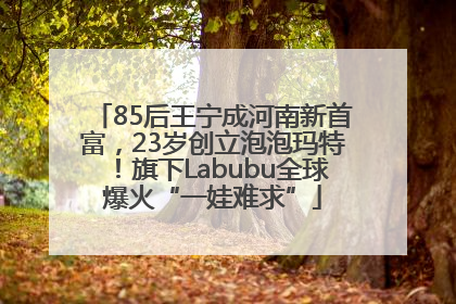 85后王宁成河南新首富，23岁创立泡泡玛特！旗下Labubu全球爆火“一娃难求”