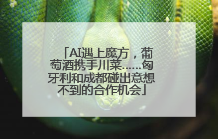 AI遇上魔方，葡萄酒携手川菜……匈牙利和成都碰出意想不到的合作机会