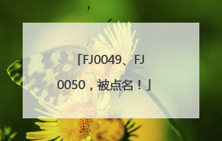 FJ0049、FJ0050，被点名！