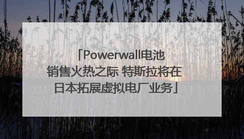 Powerwall电池销售火热之际 特斯拉将在日本拓展虚拟电厂业务