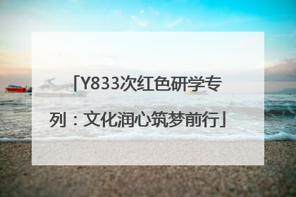 Y833次红色研学专列：文化润心筑梦前行